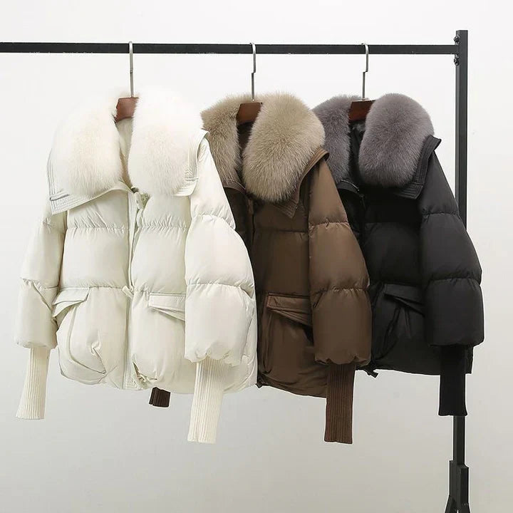 Donatella | Jacket
